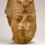 Group logo of Archaeology of Ancient Nile Valley Civilization